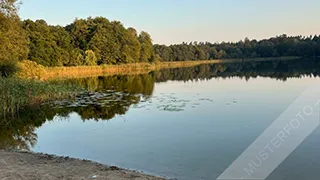 Umgebung von Birke Aktivhus