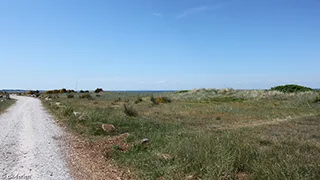 Umgebung von Overskov Poolhus