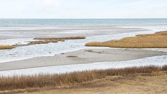 Strand in der Nähe von Bønnerup Poolhus