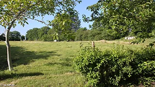 Grundstück von Hus Gammeldags