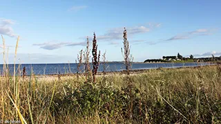 Strand in der Nähe von Djernæs Hus