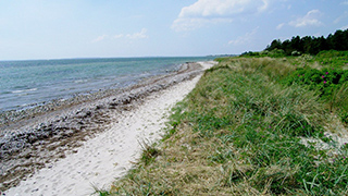 Strand in der Nähe von Storetoft Aktivhus