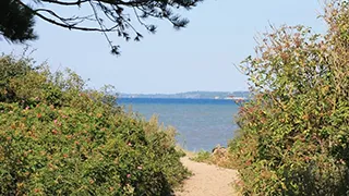 Strand in der Nähe von Torsthoved Aktivhus