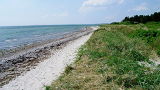 Strand in der Nähe von Vesterkobbel Aktivhus