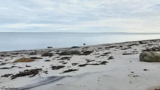 Strand in der Nähe von Vinkelbæk Udsigtshus