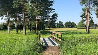 Umgebung von Solglimt