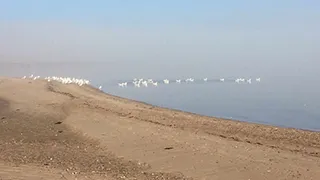 Strand in der Nähe von Diernæs Wellnesshus