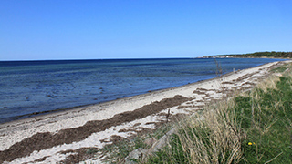 Strand in der Nähe von Dybdal Poolhus