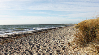Strand in der Nähe von Sommerhus Kramnitze
