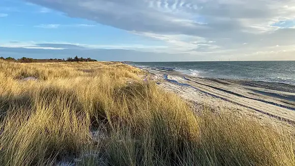 Strand in der Nähe von Sommerhus Østersøbad