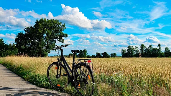 Umgebung von Poolhus Kramnitze