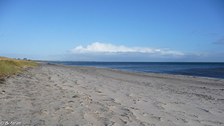 Strand in der Nähe von Hansa Aktivhus