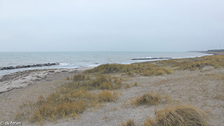 Strand in der Nähe von Falkevej Spahus