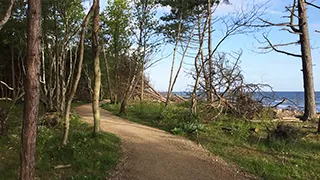 Umgebung von Hornbæk Sommerhus