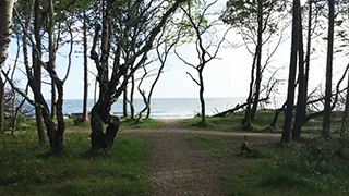 Umgebung von Hornbæk Sommerhus