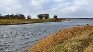 Strand in der Nähe von Kormoran Lejlighed
