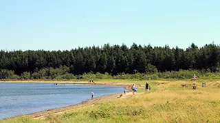 Strand in der Nähe von Ahorn Poolhus