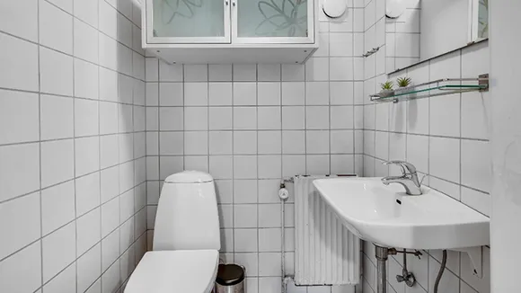 Badezimmer in Poolhus Brande