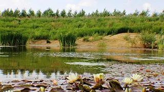 Grundstück von Hus Nørre Nebel