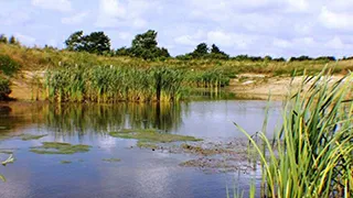 Grundstück von Hus Nørre Nebel
