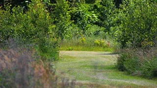 Grundstück von Hus Nørre Nebel