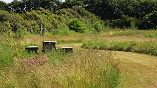 Grundstück von Hus Nørre Nebel