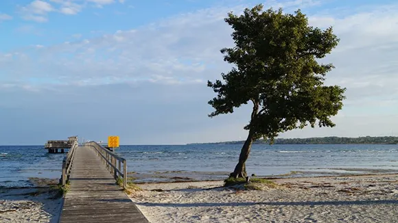Strand in der Nähe von Dankvägen Poolhus