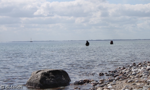 Angler an Steinstrand beim Brandungsangeln