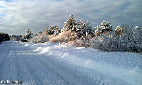 Blick auf verschneite Winterlandschaft in Tranum in Nordjütland, Dänemark
