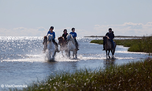 Reiten Læsø Læsø Ausritt