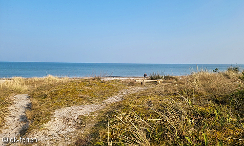 Blick auf die Ostsee und den Strand von Marielyst hinter einem Dünengürtel