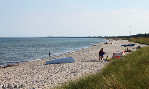 Blick auf Strand mit Badegästen in Marielyst auf der dänischen Ostseeinsel Falster
