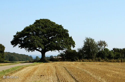 Landschaft bei Odder